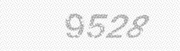 Visual security code — type the characters shown in the image